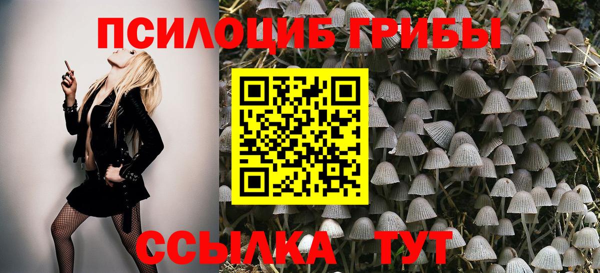 Галлюциногенные грибы мухоморы  Псилоцибиновые грибы GOLDEN TEACHER  Дубна  Вход с VPN 